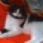 strayshelp