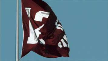 Texas Am Football GIF by Texas A&M University Texas Am Football GIF by Texas A&M University