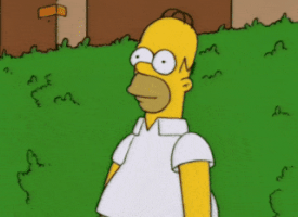 hide GIF hide GIF