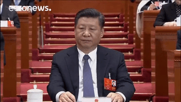 china GIF by euronews china GIF by euronews
