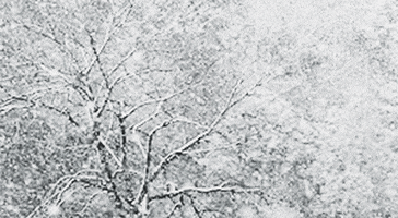 China Snow GIF China Snow GIF