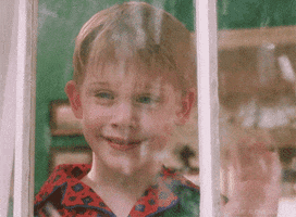 Home Alone Reaction GIF by 20th Century Fox Home Entertainment Home Alone Reaction GIF by 20th Century Fox Home Entertainment