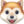 🐶 🐶