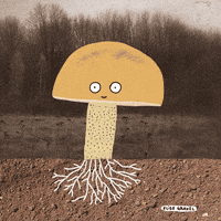 illustration growing GIF by Elise Gravel illustration growing GIF by Elise Gravel