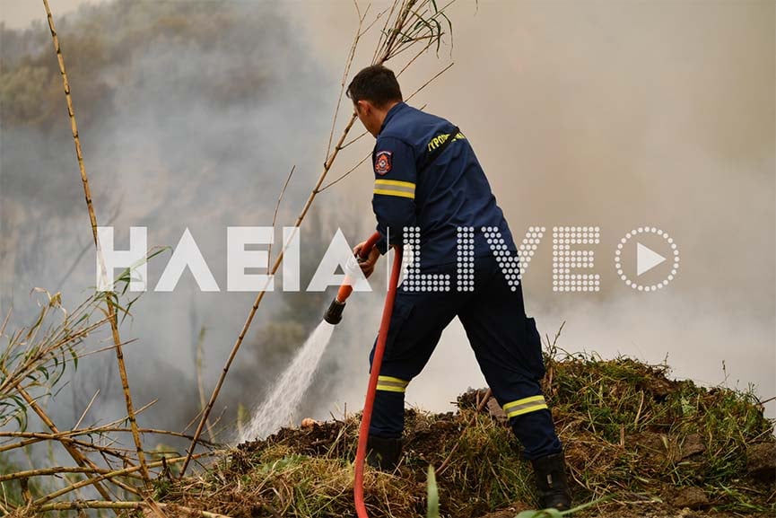 Ζαχάρω: Συναγερμός για φωτιά στους Σχίνους – Κοντά σε κατοικημένη περιοχή