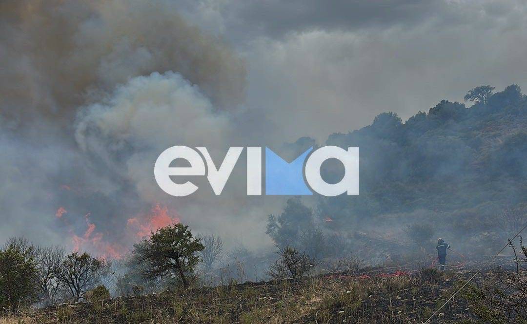 φωτιά Εύβοια