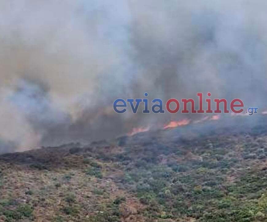Μεγάλη φωτιά στην Εύβοια: 112 για εκκένωση οικισμών - Οι φλόγες πέρασαν την Εθνική Οδό