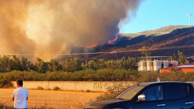 Μεγάλη φωτιά στην Εύβοια: 112 για εκκένωση οικισμών - Οι φλόγες πέρασαν την Εθνική Οδό