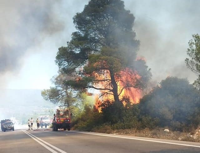 Φωτιά στην Κορινθία: 6 χιλιόμετρα το πύρινο μέτωπο – «Αν είχε μπει στο Σοφικό, θα μιλούσαμε για τραγωδία» λέει στο enikos.gr ο δήμαρχος