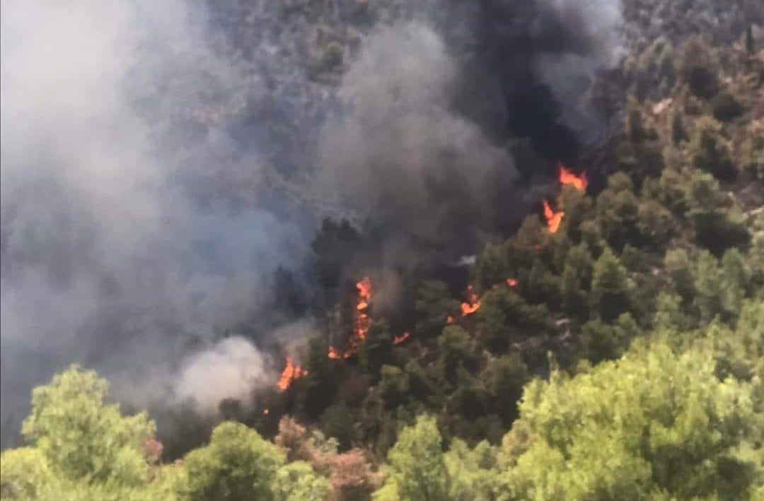 Φωτιά στην Κορινθία: Αναζωπύρωση στη Στιμάγκα προς Χαλκί – Επιχειρούν 200 πυροσβέστες και εναέρια μέσα – ΦΩΤΟ και ΒΙΝΤΕΟ