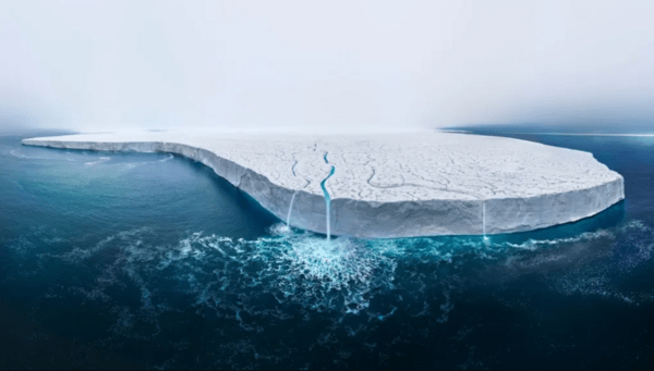 Εκπληκτικές εικόνες από τον διαγωνισμό Wildlife Photographer of the Year