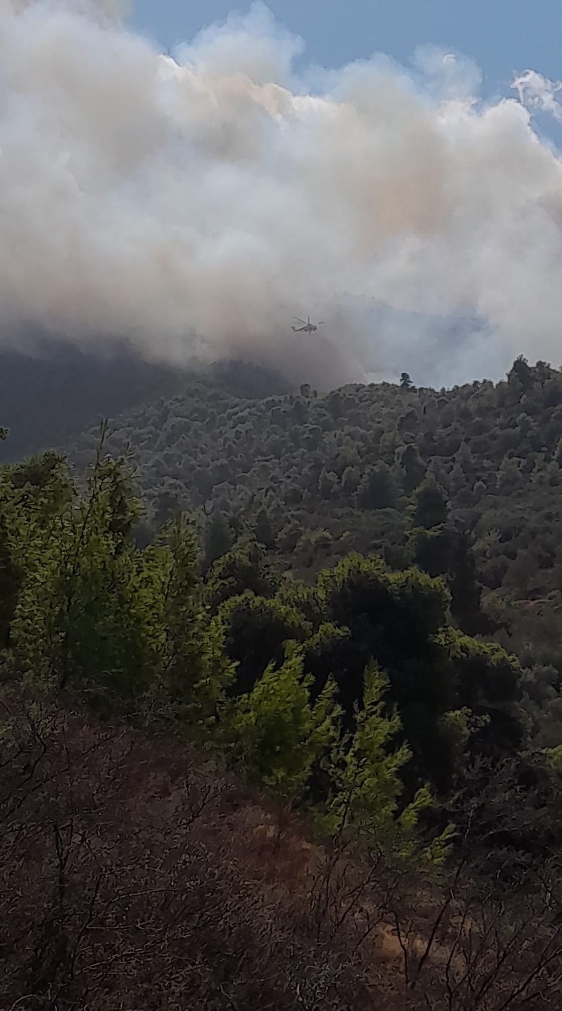 Ξυλόκαστρο: Μαίνεται η μεγάλη φωτιά στα Ροζενά – Ενισχύθηκαν οι πυροσβεστικές δυνάμεις – ΒΙΝΤΕΟ