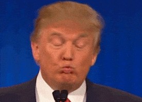 Donald Trump GIF Donald Trump GIF