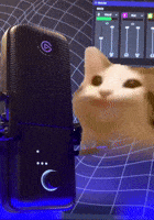 Streaming Youtube GIF by Elgato Streaming Youtube GIF by Elgato