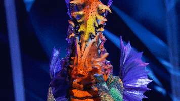 Seahorse GIF by The Masked Singer Seahorse GIF by The Masked Singer