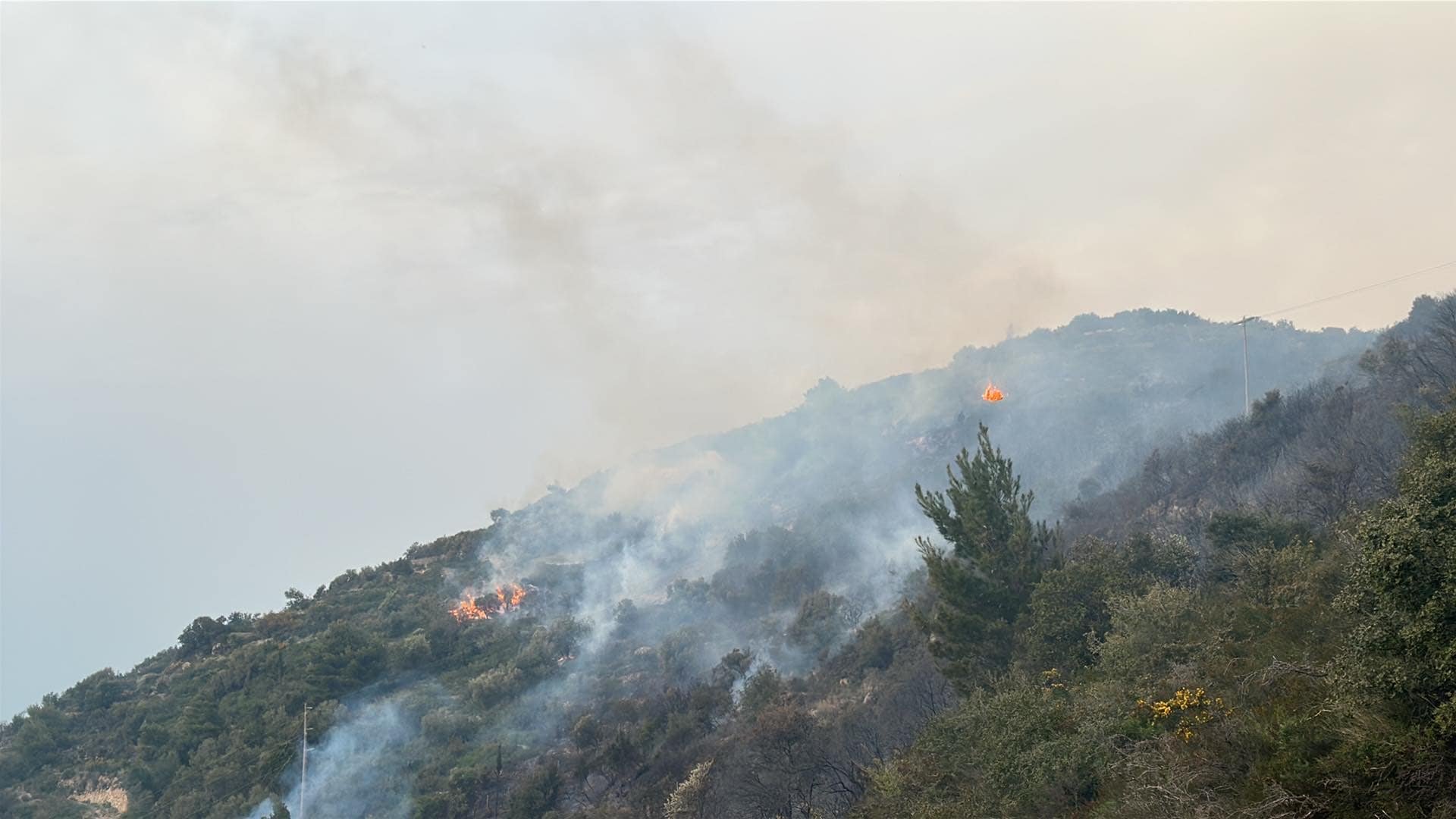 Φωτιά σε δασική έκταση στη Λευκάδα – Ήχησε το 112, εκκενώνεται ο Άγιος Νικήτας
