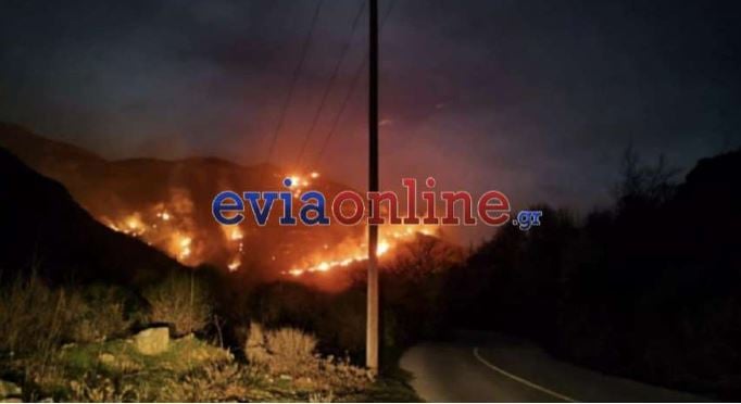Μεγάλη φωτιά στην Κάρυστο – Ενισχύθηκαν οι δυνάμεις της Πυροσβεστικής – ΦΩΤΟ