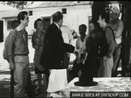 greek GIF greek GIF
