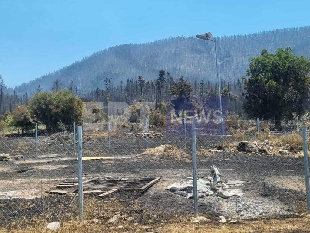 Κορινθία: Φωτογραφικά ντοκουμέντα από το σημείο έναρξης της φωτιάς στον Φενεό – Οι κατασκευές για rave party και η μαρτυρία που «καίει» τους 2 συλληφθέντες