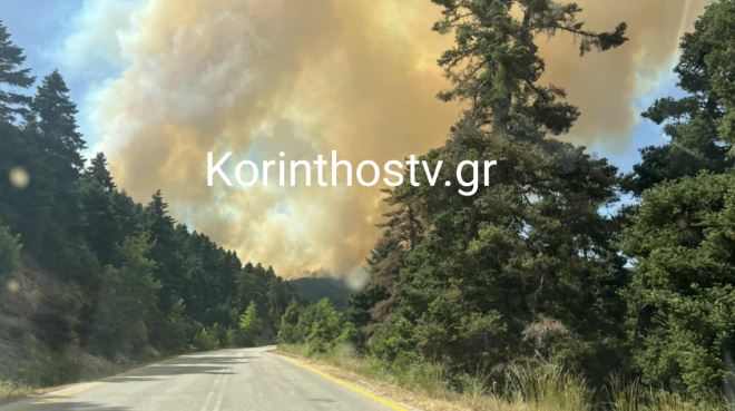 Φωτιά στην Κορινθία: Εκκενώνεται η περιοχή Καστανιά – Νέο μήνυμα από το 112