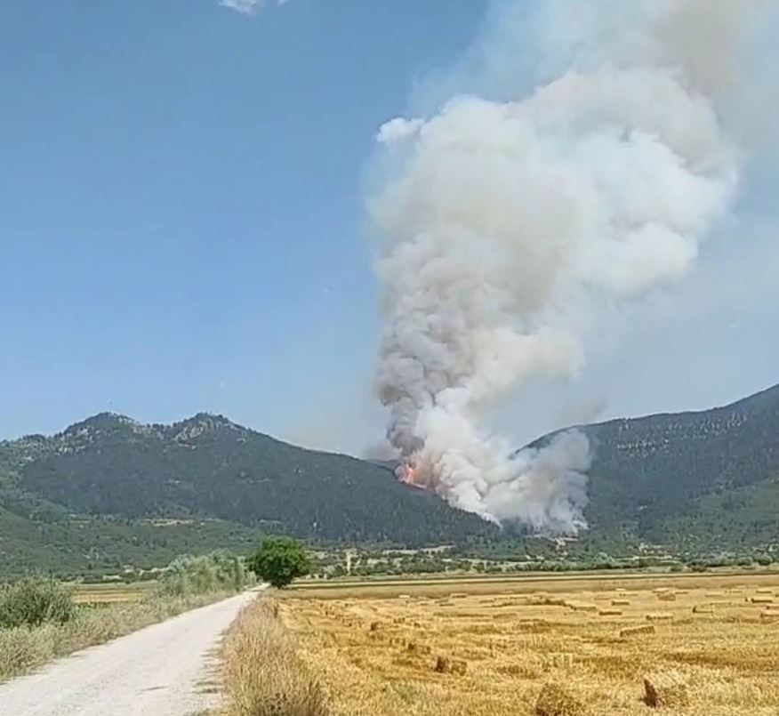 Φωτιά στην Κορινθία: Εκκενώνεται η περιοχή Καστανιά – Νέο μήνυμα από το 112 – ΦΩΤΟ και ΒΙΝΤΕΟ