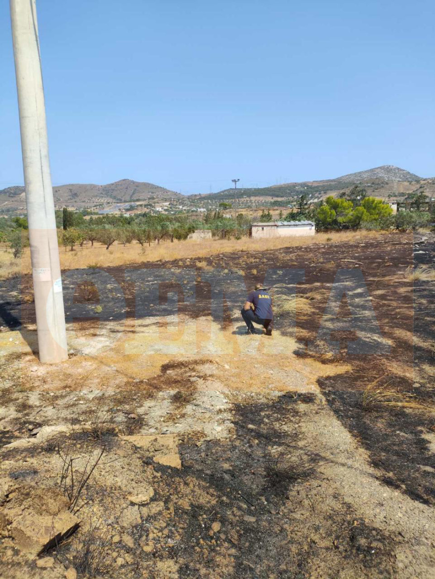 Σύλληψη δύο υπαλλήλων του ΔΕΔΔΗΕ για τη φωτιά στην Κερατέα - Κατηγορούνται για παραλείψεις στη συντήρηση του δικτύου