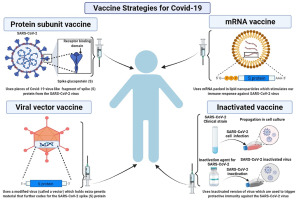 www.sciencedirect.com