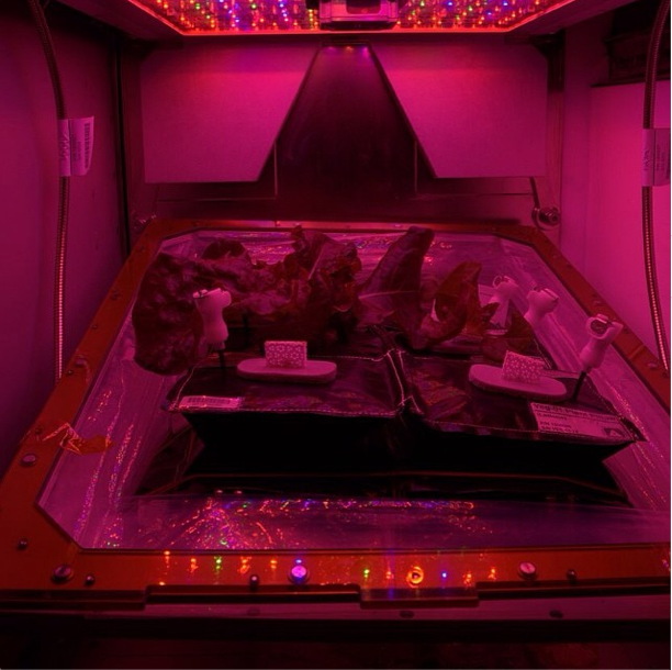 www.space.com