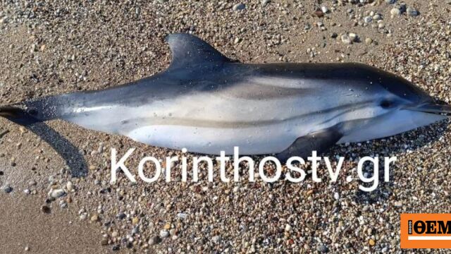 www.protothema.gr