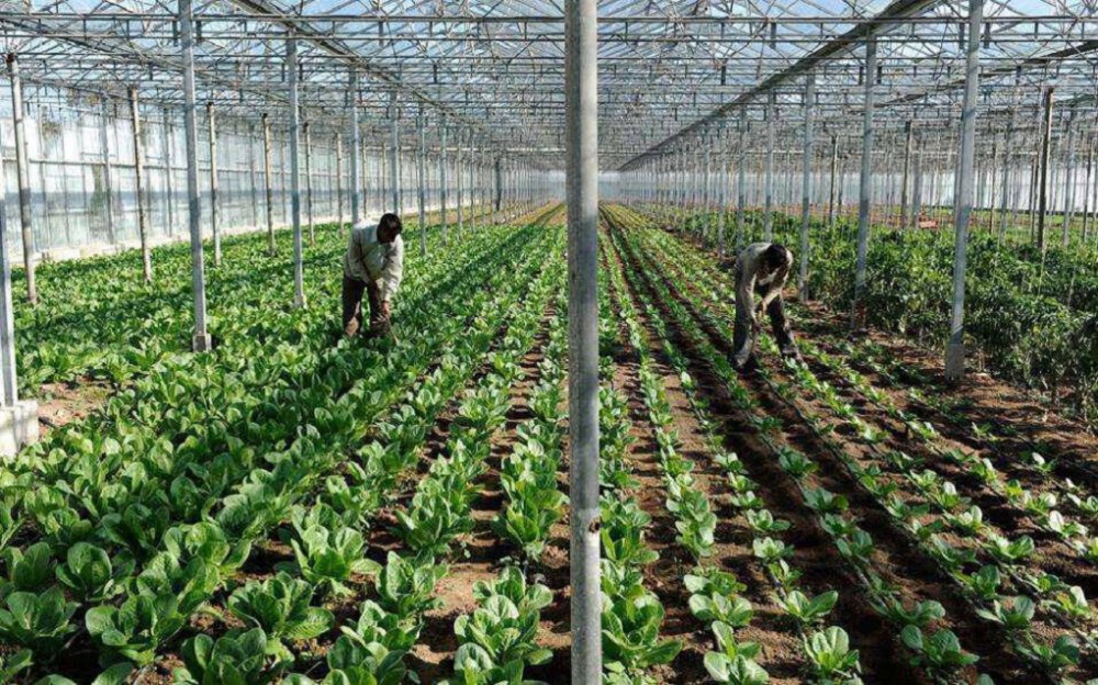 www.agro24.gr