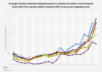 www.statista.com