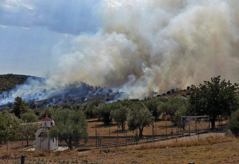 www.tanea.gr