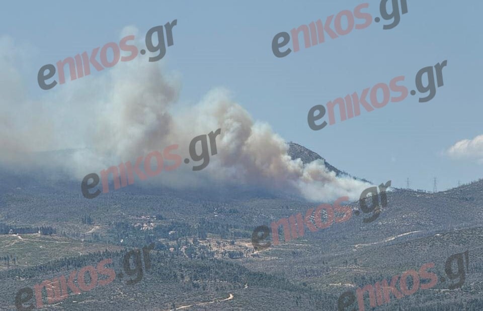 www.enikos.gr