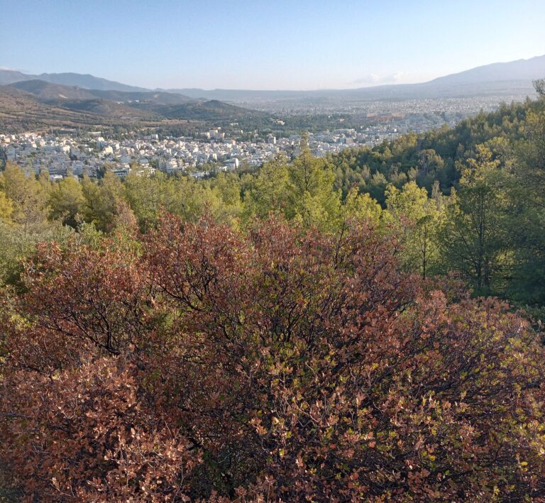 xaidarisimera.gr