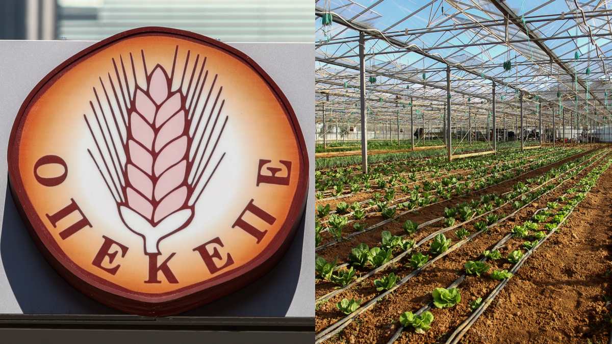 www.ertnews.gr