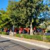 www.oakke.gr