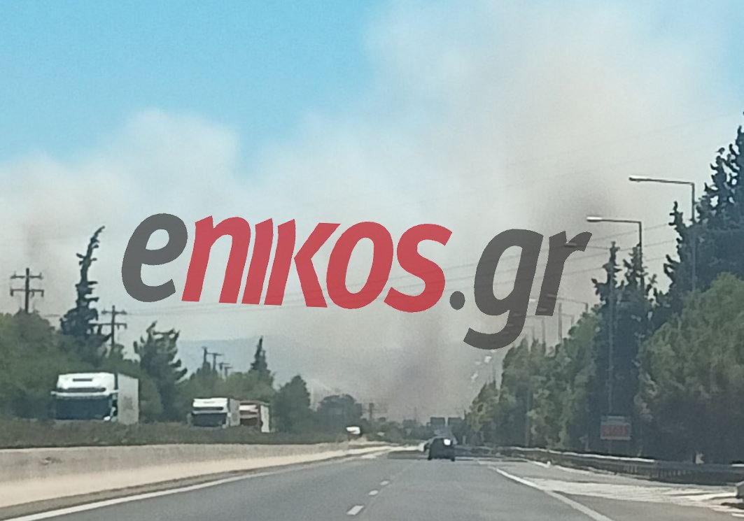 www.enikos.gr