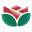 thesocialist.gr