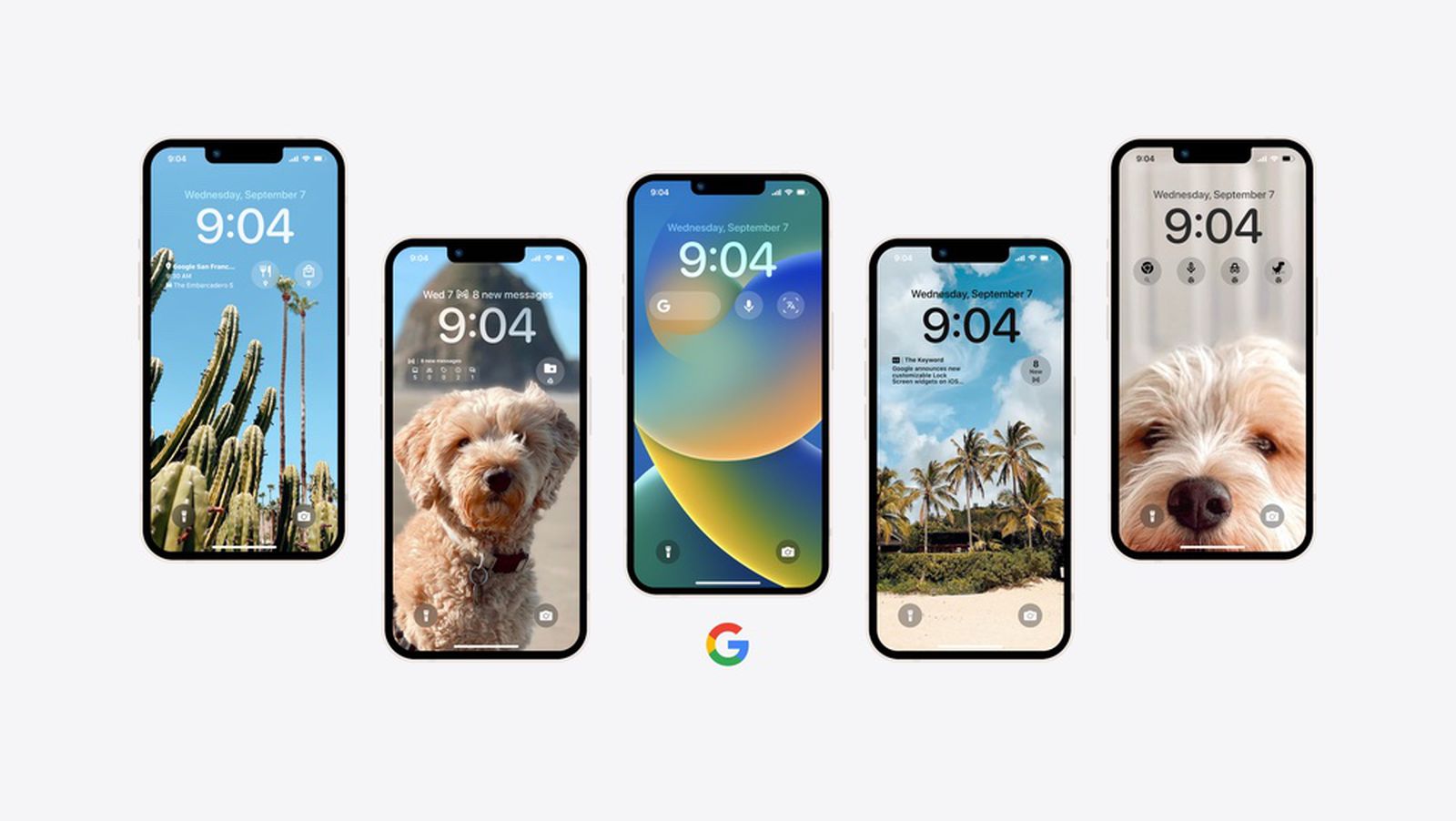 www.macrumors.com