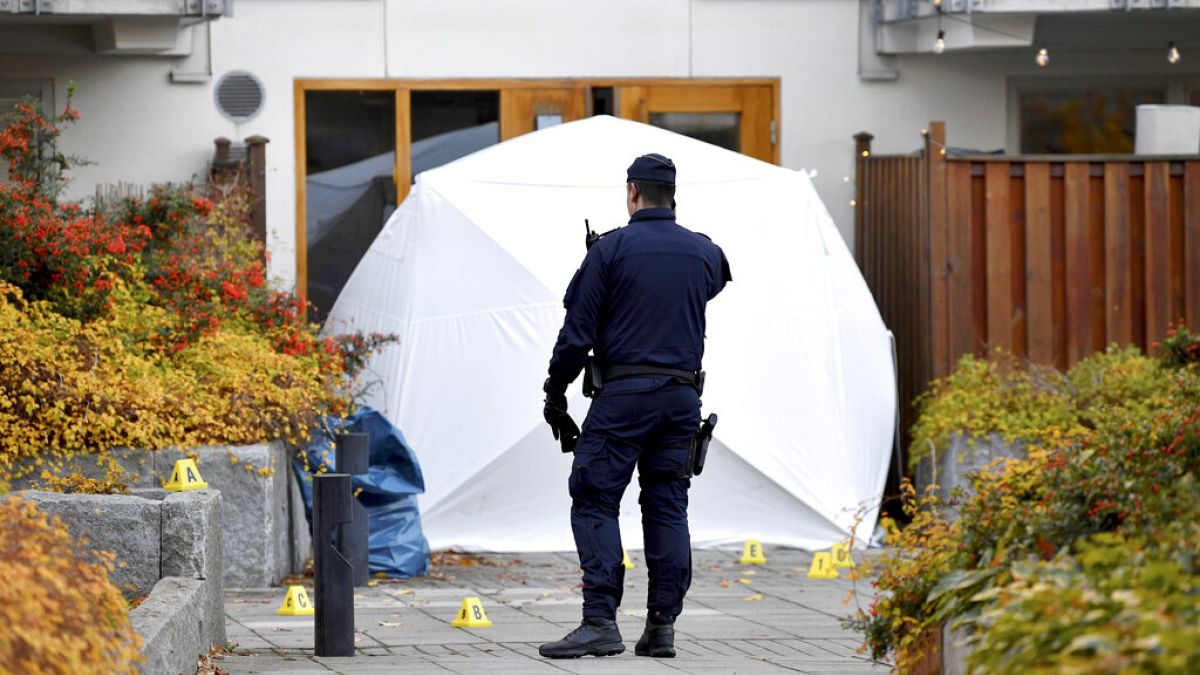www.euronews.com