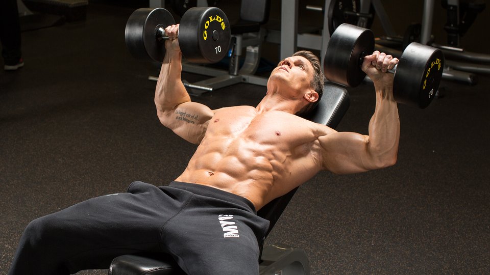 www.bodybuilding.com