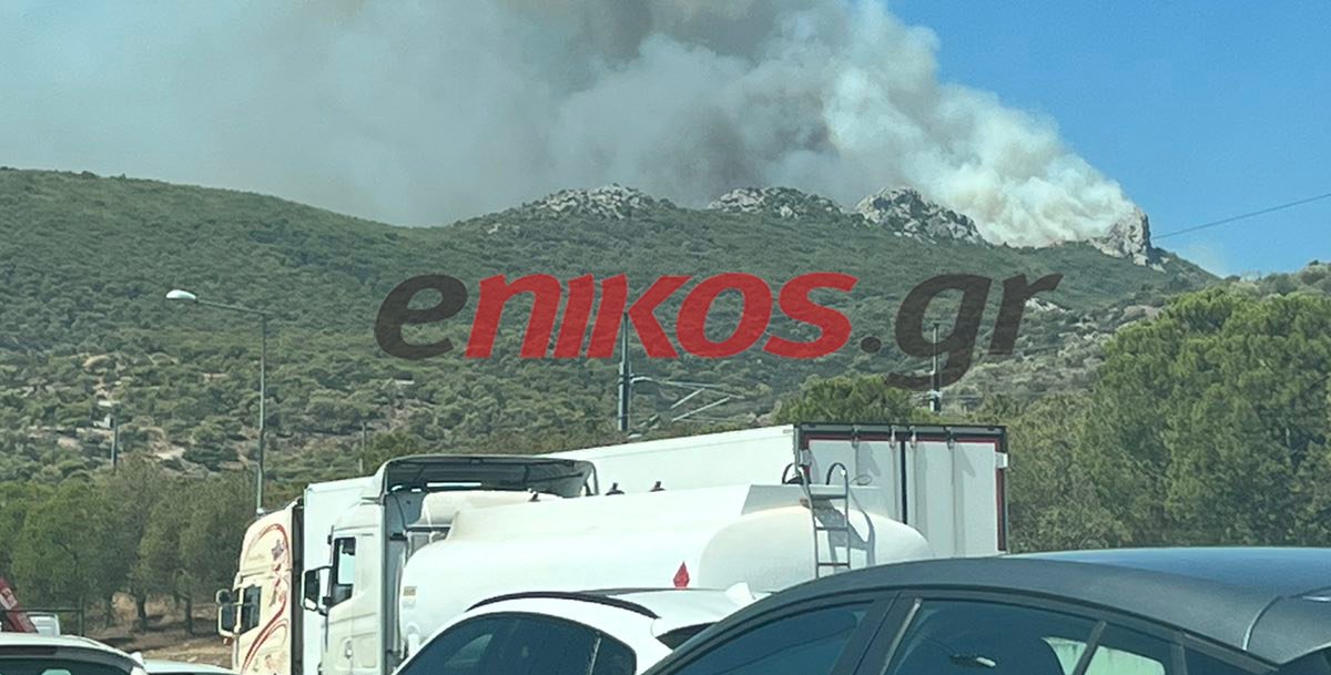 www.enikos.gr