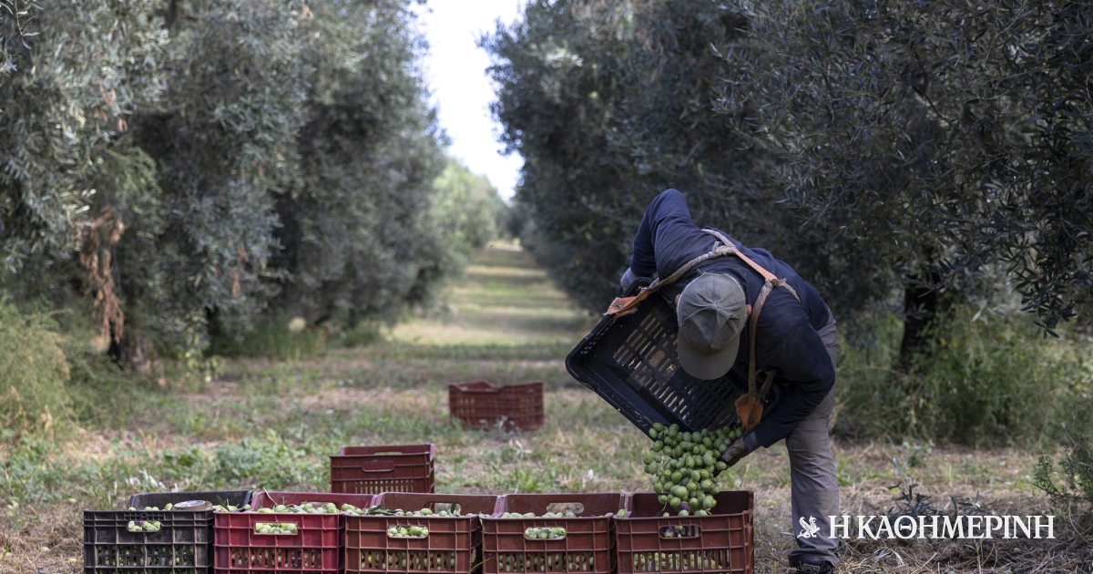 www.kathimerini.gr