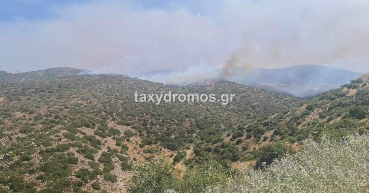 www.taxydromos.gr