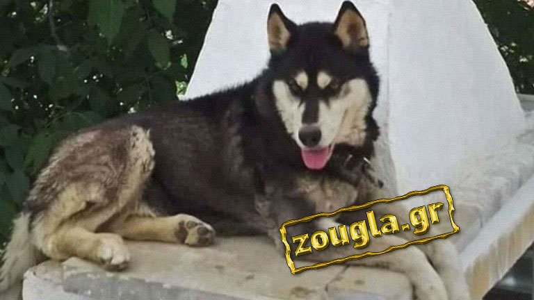 www.zougla.gr